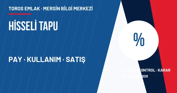 Hisseli tapu pay ve kullanım risklerini gösteren kurumsal infografik