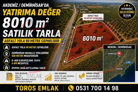 Toros Emlak'tan Demirhisar’da Yol Kenarı 8010 m² Satılık Tarla - fotoğraf 2