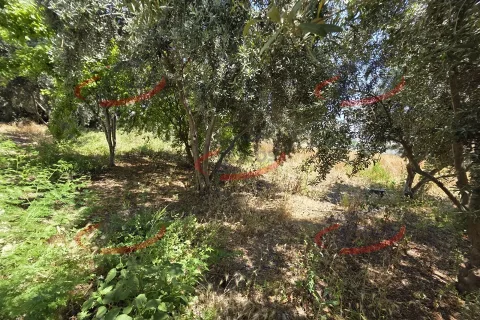 Toros Emlak'tan 388 m² TİCK İmarlı Köşe Başı Satılık Arsa Ve Bina - fotoğraf 7