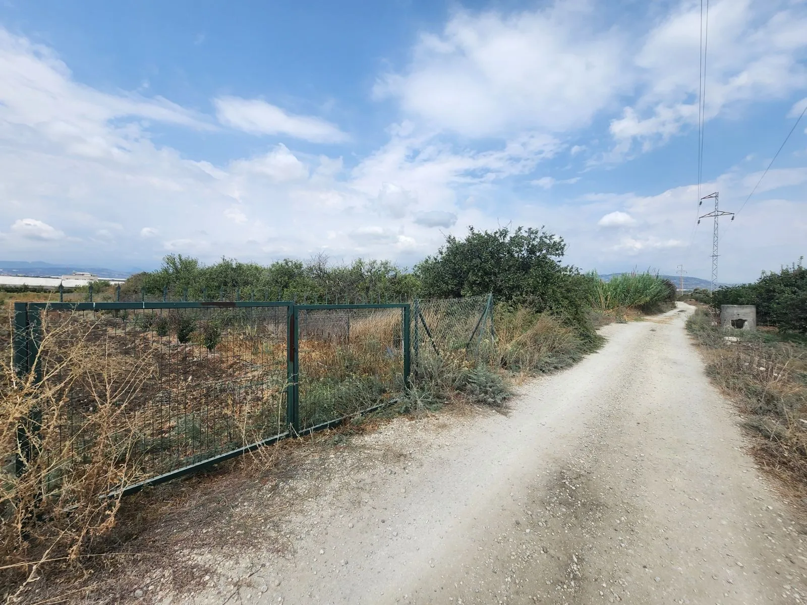 Akdeniz Yanpar'da 9782 M2 Satılık Hazır Portakal Bahçesi