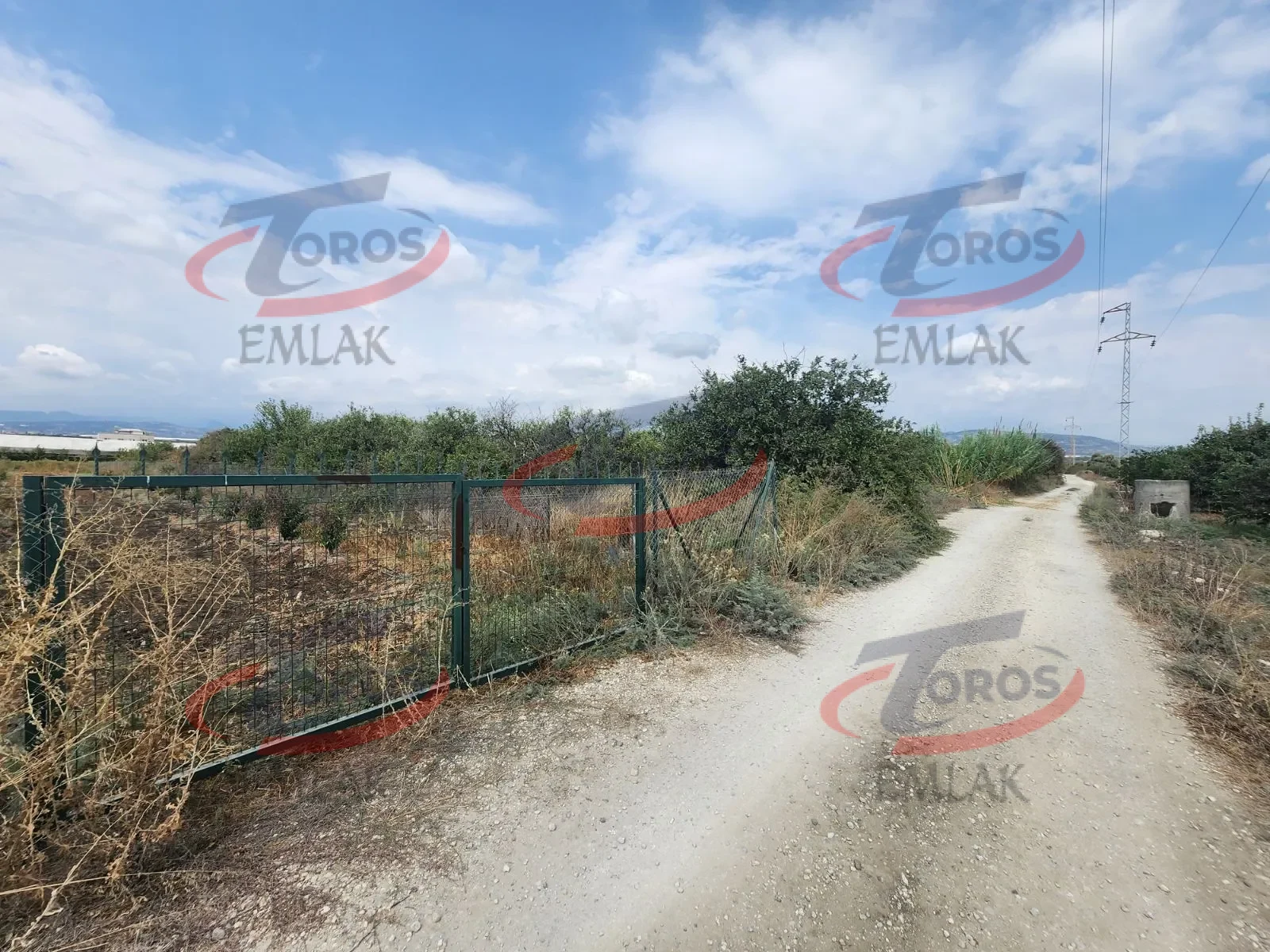 Akdeniz Yanpar'da 9782 m² Satılık Hazır Portakal Bahçesi - fotoğraf 1