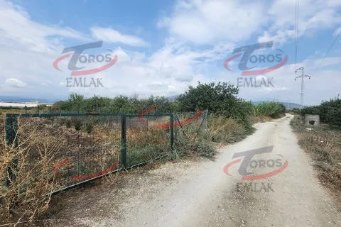 Akdeniz Yanpar'da 9782 m² Satılık Hazır Portakal Bahçesi - fotoğraf 1