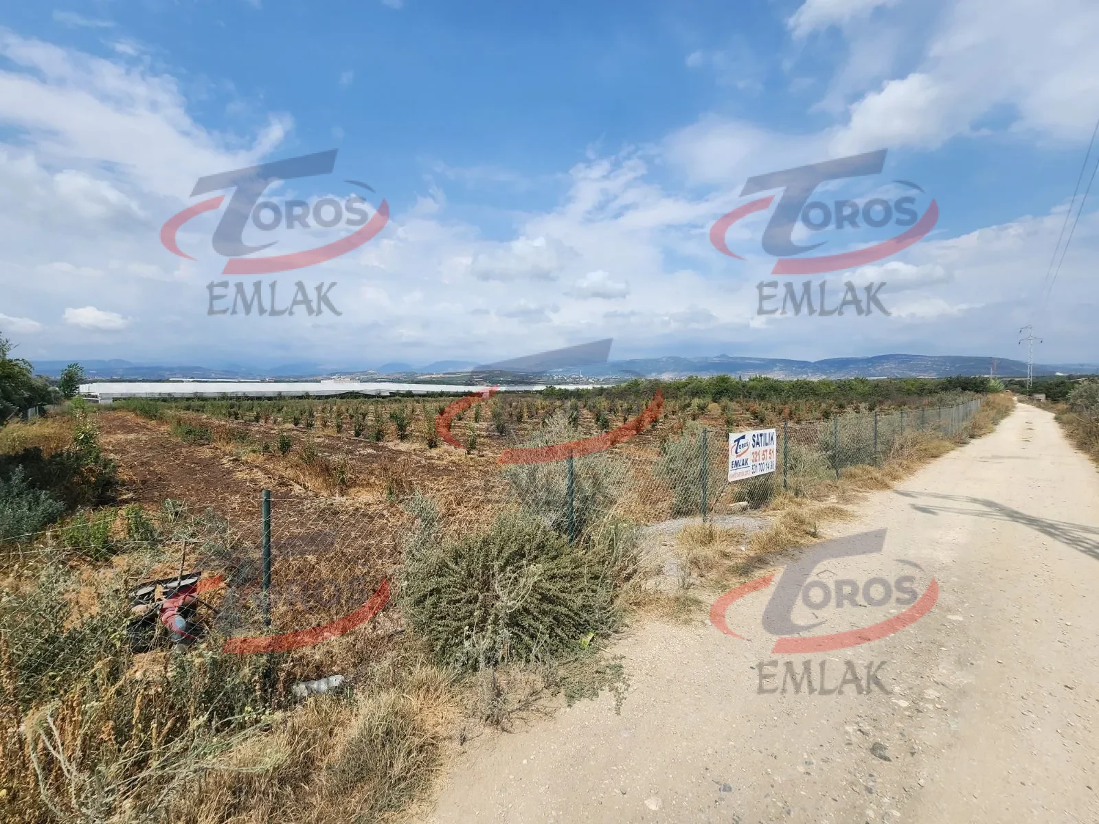 Akdeniz Yanpar'da 9782 m² Satılık Hazır Portakal Bahçesi - fotoğraf 2