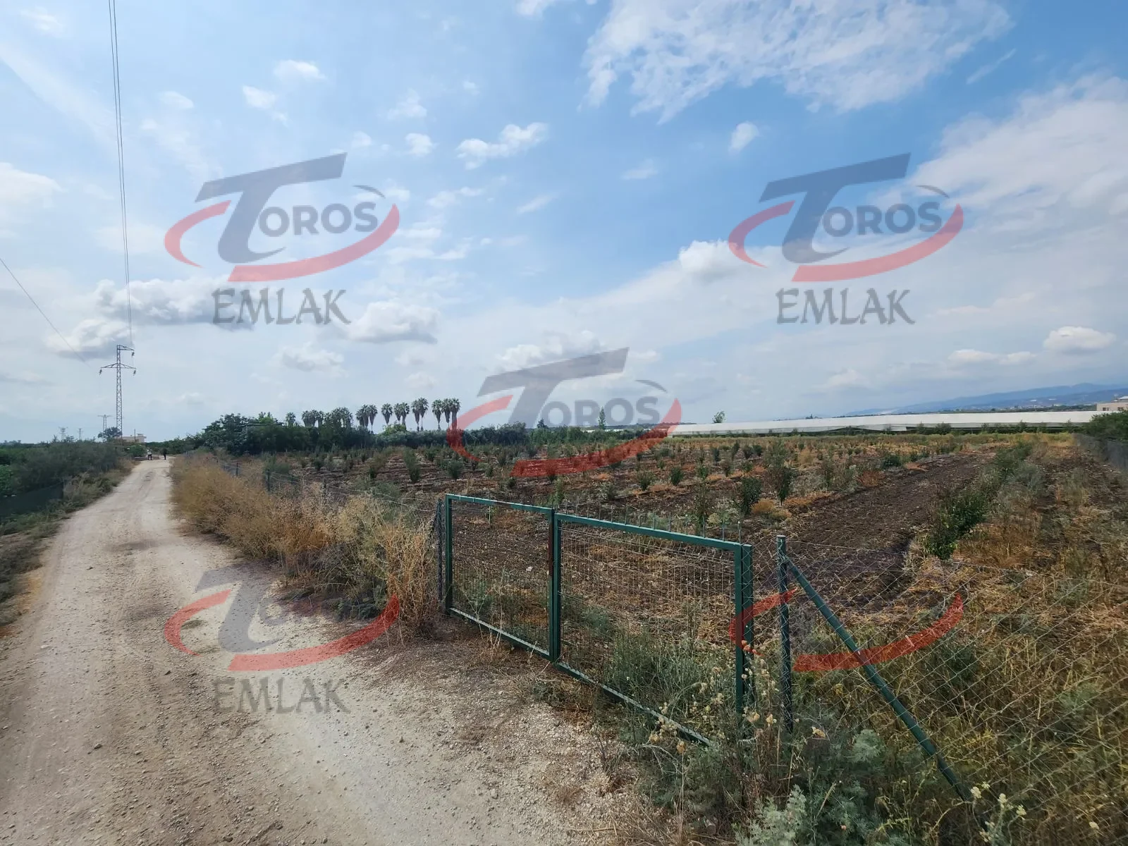 Akdeniz Yanpar'da 9782 m² Satılık Hazır Portakal Bahçesi - fotoğraf 5