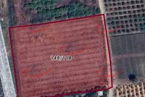 Akdeniz Yanpar'da 9782 m² Satılık Hazır Portakal Bahçesi - fotoğraf 6