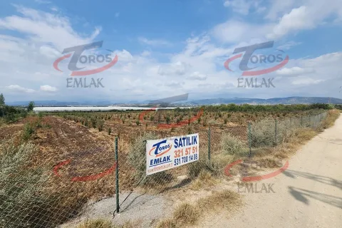 Akdeniz Yanpar'da 9782 m² Satılık Hazır Portakal Bahçesi - fotoğraf 7