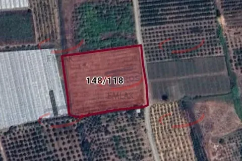 Akdeniz Yanpar'da 9782 m² Satılık Hazır Portakal Bahçesi - fotoğraf 8