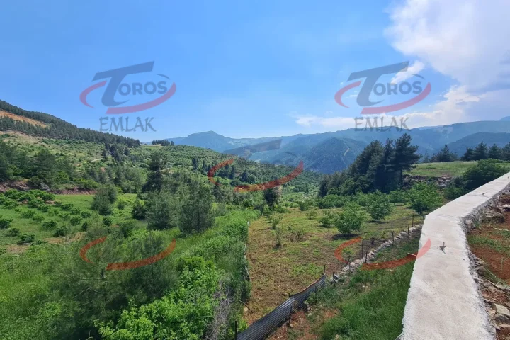 Toros Emlak'tan Aladağ’da 4977 m² Duvarı Örülmüş Tarla - fotoğraf 3