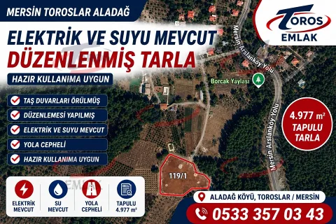 Toros Emlak'tan Aladağ’da 4977 m² Duvarı Örülmüş Tarla - fotoğraf 8