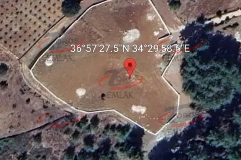 Toros Emlak'tan Aladağ’da 4977 m² Duvarı Örülmüş Tarla - fotoğraf 17
