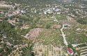 TOROS EMLAK’TAN KUZUCU MAH.DE 9746m² YETİŞMİŞ ARMUT BAHÇESİ & VİLLALIK ARSA