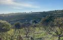 TOROS EMLAK’DAN TOROSLAR ÇELEBİLİ MAH.DE KÖYİÇİ 3600m² ARSA