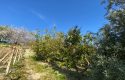 TOROS EMLAK’DAN TOROSLAR ÇELEBİLİ MAH.DE KÖYİÇİ 3600m² ARSA