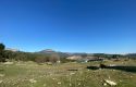 TOROS EMLAK’TAN KUZUCU MAH.DE ÇİFTLİK YAPIMINA UYGUN 5955m² TARLA