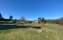 TOROS EMLAK’TAN KUZUCU MAH.DE ÇİFTLİK YAPIMINA UYGUN 5955m² TARLA