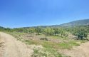 TOROS EMLAK’TAN KUZUCU MAHALLESİNDE 4790 M² SATILIK TARLA