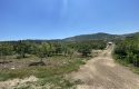 TOROS EMLAK’TAN KUZUCU MAHALLESİNDE 4790 M² SATILIK TARLA