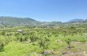 TOROS EMLAK’TAN KUZUCU MAHALLESİNDE 4790 M² SATILIK TARLA