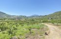 TOROS EMLAK’TAN KUZUCU MAHALLESİNDE 4790 M² SATILIK TARLA
