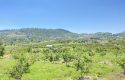 TOROS EMLAK’TAN KUZUCU MAHALLESİNDE 4790 M² SATILIK TARLA