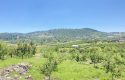 TOROS EMLAK’TAN KUZUCU MAHALLESİNDE 4790 M² SATILIK TARLA