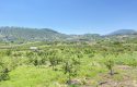 TOROS EMLAK’TAN KUZUCU MAHALLESİNDE 4790 M² SATILIK TARLA