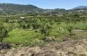 TOROS EMLAK’TAN KUZUCU MAHALLESİNDE 4790 M² SATILIK TARLA