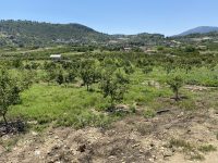 TOROS EMLAK’TAN KUZUCU MAHLLESİNDE 5334M² SATILIK ARSA