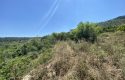 TOROS EMLAK’TAN KUZUCU MAHLLESİNDE 5334M² SATILIK ARSA