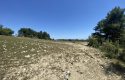 TOROS EMLAK’TAN KUZUCU MAHLLESİNDE 5860M² SATILIK TARLA
