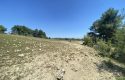 TOROS EMLAK’TAN KUZUCU MAHLLESİNDE 5860M² SATILIK TARLA