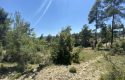 TOROS EMLAK’TAN KUZUCU MAHLLESİNDE 5860M² SATILIK TARLA