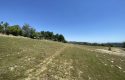 TOROS EMLAK’TAN KUZUCU MAHLLESİNDE 5860M² SATILIK TARLA