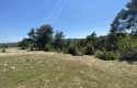 TOROS EMLAK’TAN KUZUCU MAHLLESİNDE 5860M² SATILIK TARLA
